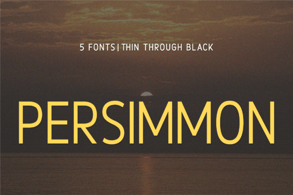 Persimmon Font: A Polished Typeface for Real-World Branding